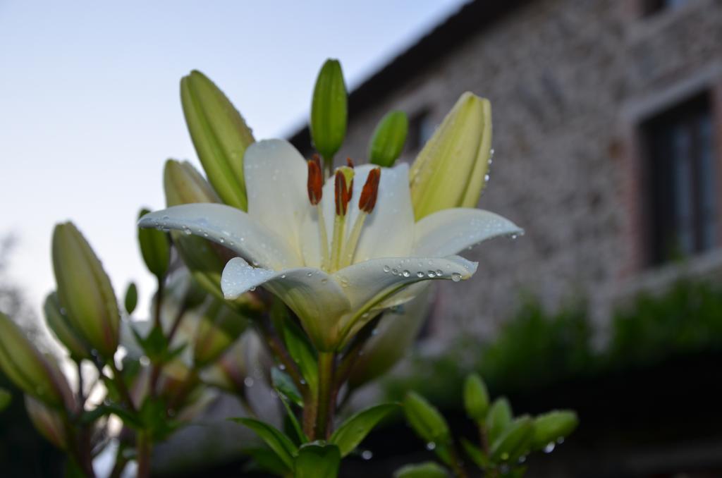 Agriturismo D' Epoca La Marianella Catabbio Екстер'єр фото